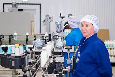 Красногорский молококомбинат: от луга до прилавка